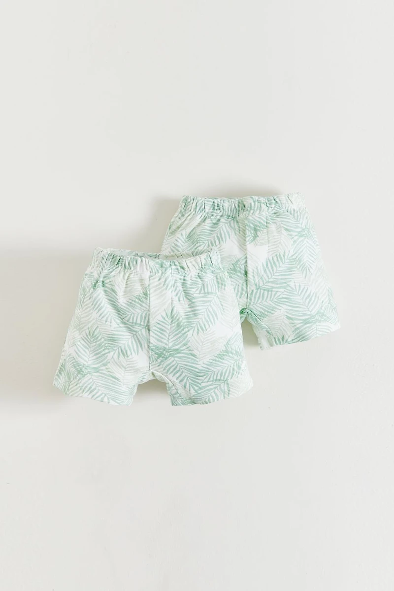 Leaves 2-Pack Boxer Briefs