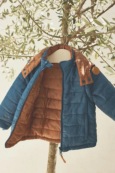 Reversible/Convertible Jacket