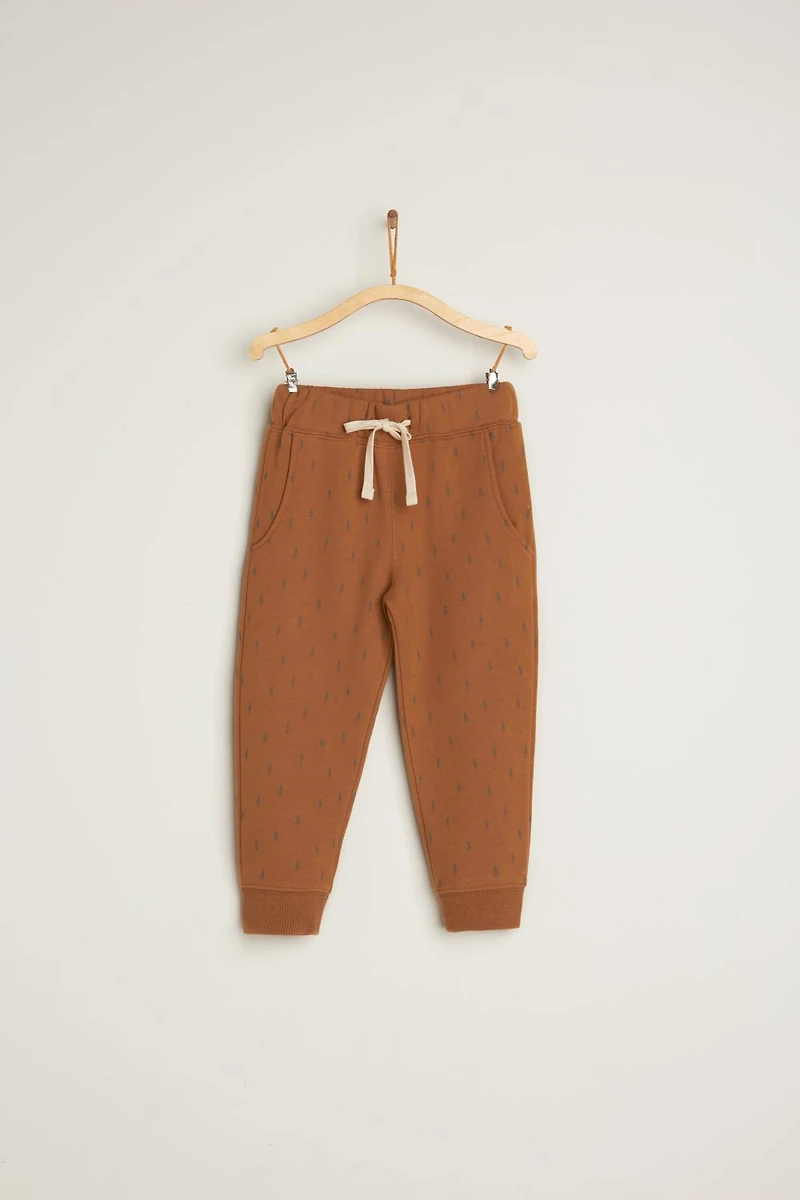 Explorer Joggers
