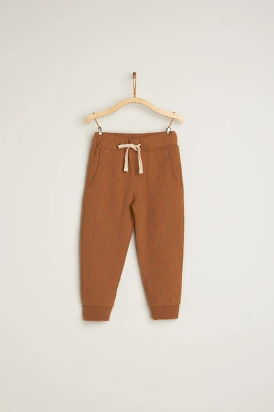 Explorer Joggers