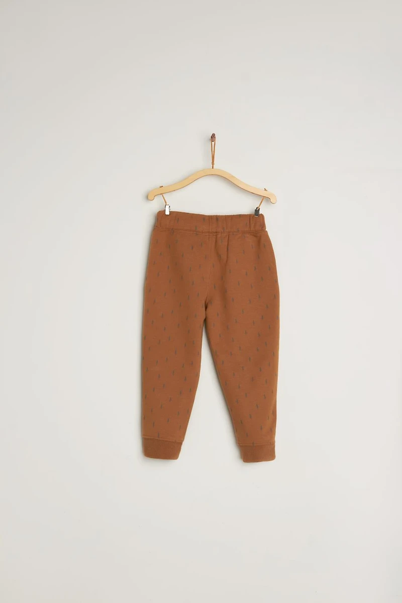 Explorer Joggers