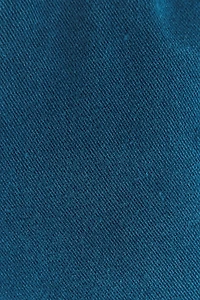 Twill Pants