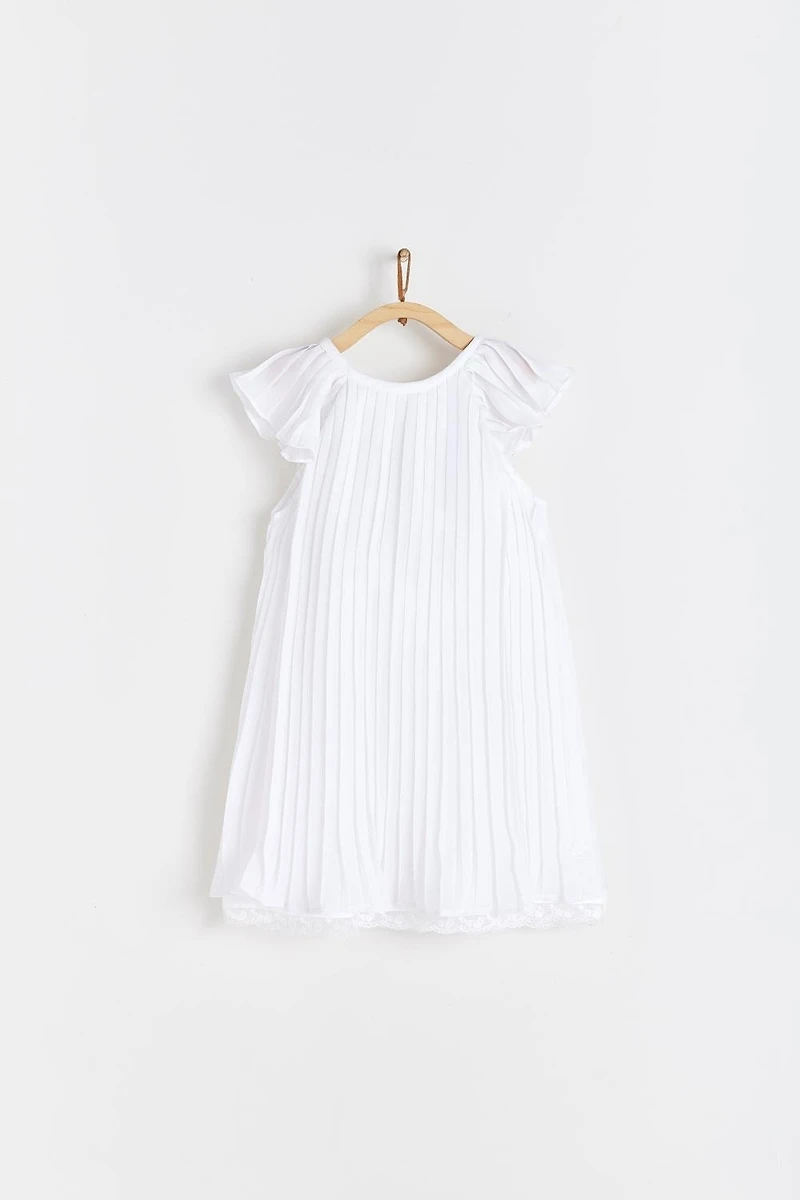 Celebration Pleaded Dress