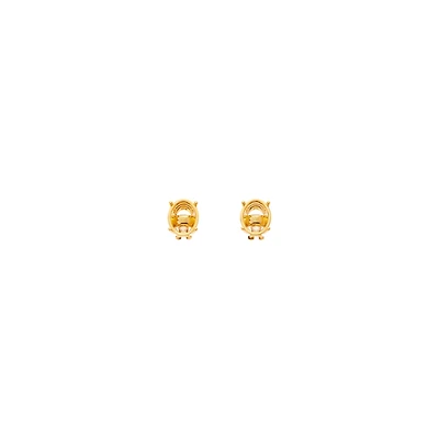 frame oval earrings