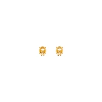 frame oval earrings