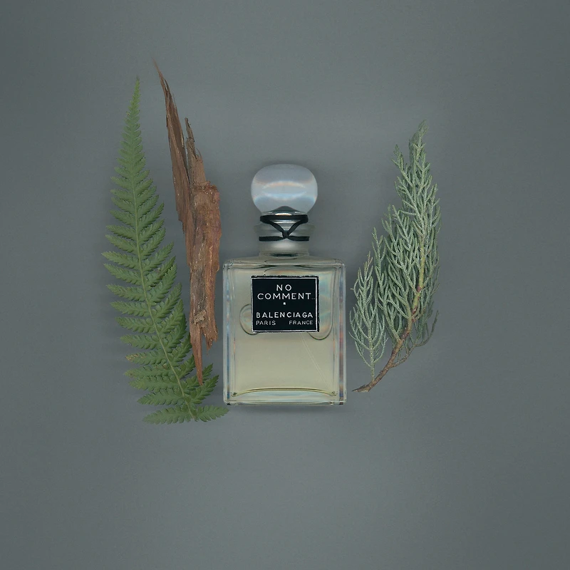 no comment parfum