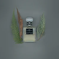 no comment parfum