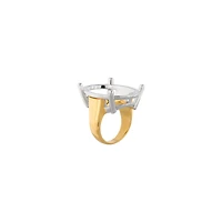 frame oval ring