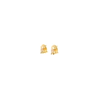 frame oval earrings