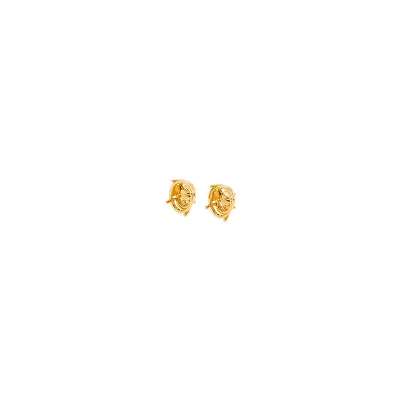 frame oval earrings