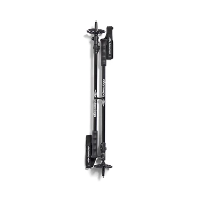 hiking poles