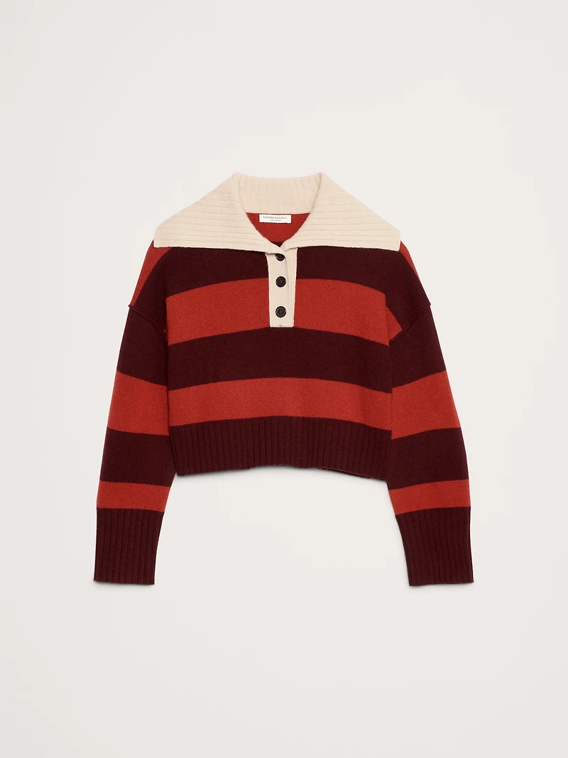 Oversized Cashmere Cropped Sweater Polo