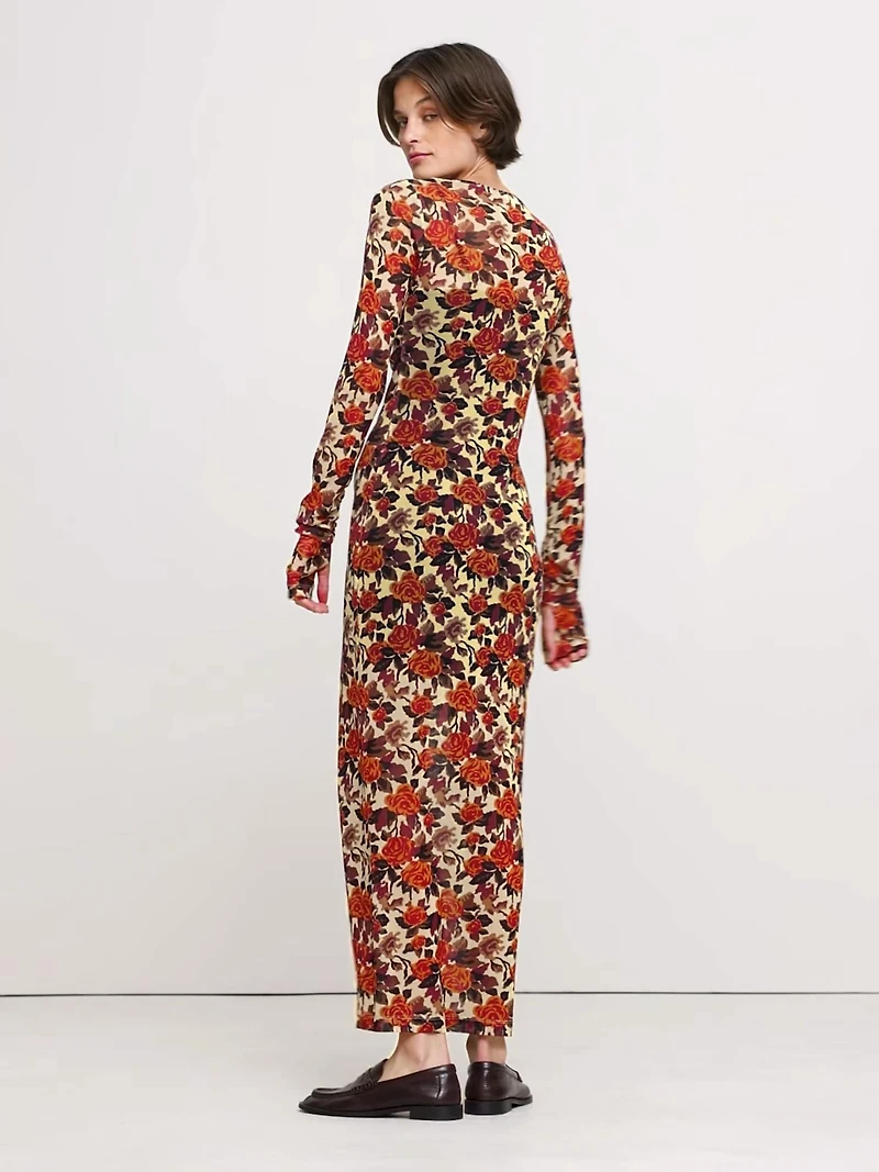 Printed Mesh Maxi Dress