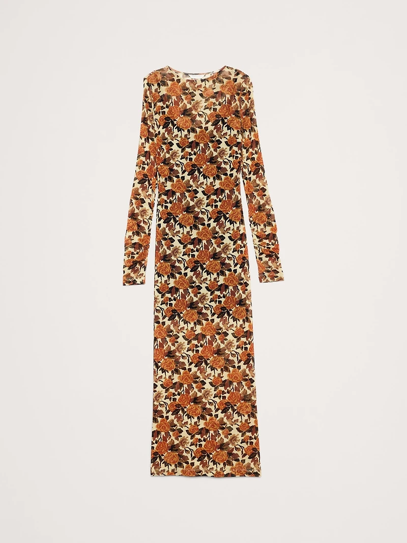 Printed Mesh Maxi Dress