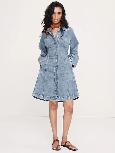 Seamed Denim Mini Dress
