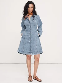 Seamed Denim Mini Dress