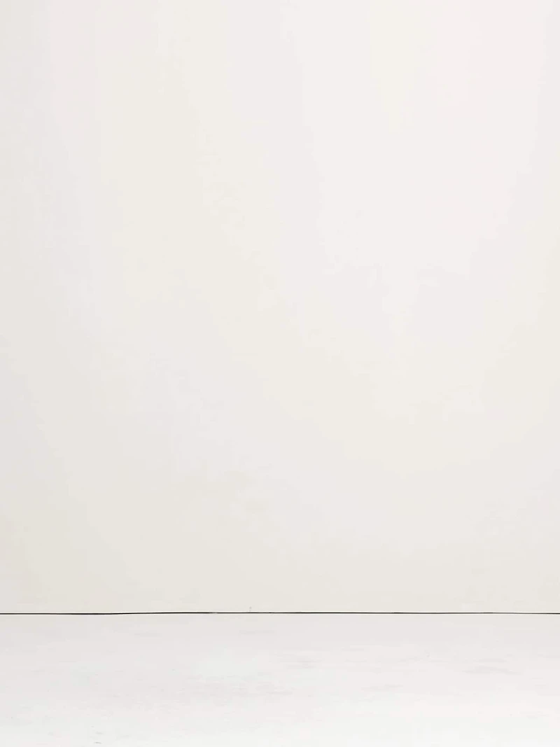 The Pull-On Wide-Leg Ankle Pant Embroidered Poplin