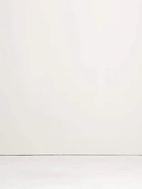 The Pull-On Wide-Leg Ankle Pant Embroidered Poplin