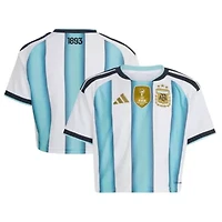 Soccer National Teams Argentina Team FIFA x World Cup 2022 Winners Home Cropped Replica Jersey