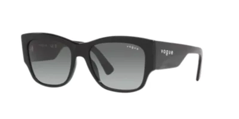 PS 01TS Lifestyle Sunglasses