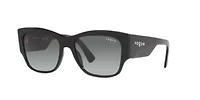 PS 01TS Lifestyle Sunglasses