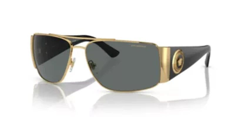 VE2163  Polarized Sunglasses