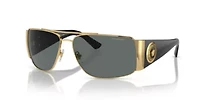VE2163  Polarized Sunglasses