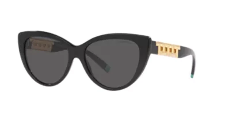 TF4196  Sunglasses