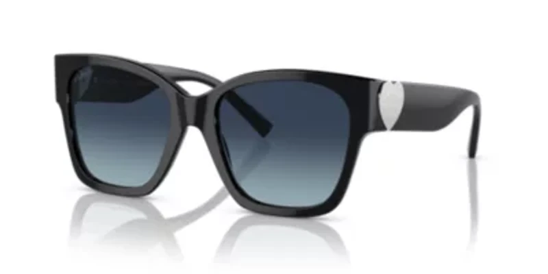 TF4216 Polarized Sunglasses