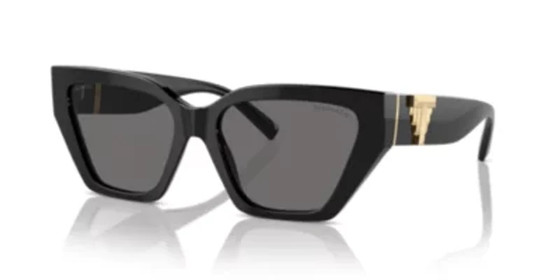 TF4218 Polarized Sunglasses