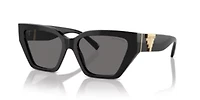 TF4218 Polarized Sunglasses