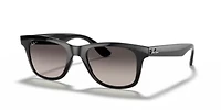 RB4640 Polarized Sunglasses