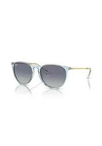 RB4171 Erika Classic Sunglasses