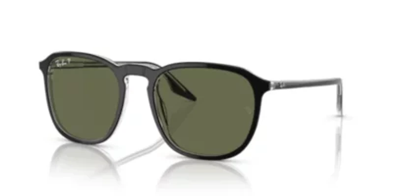 RB2203 Polarized Sunglasses