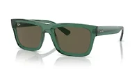 RB4396 Warren Bio-Based Polarized Sunglasses