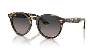 RB7680S Larry Polarized Sunglasses