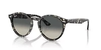 RB7680S Larry Sunglasses