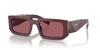 TF4208U Steve Mcqueen Sunglasses