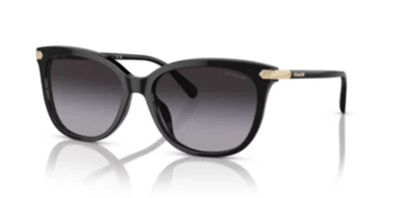 PR A02S Sunglasses