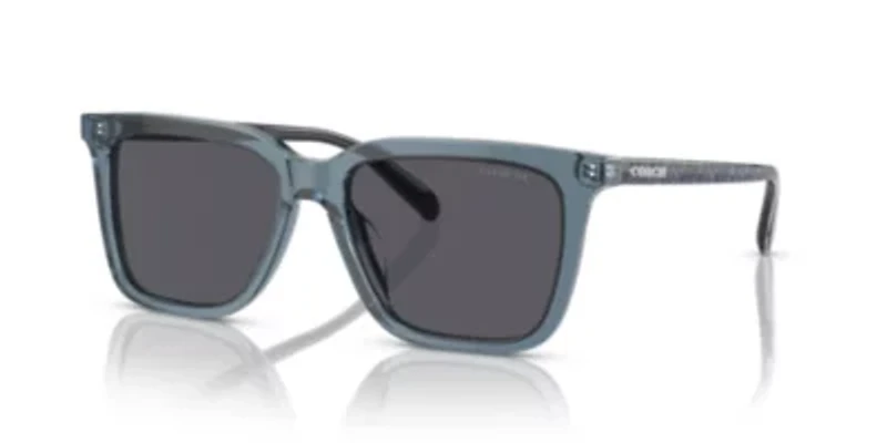 HC8385U CL910 Sunglasses