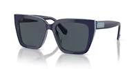 SK6013 Sunglasses