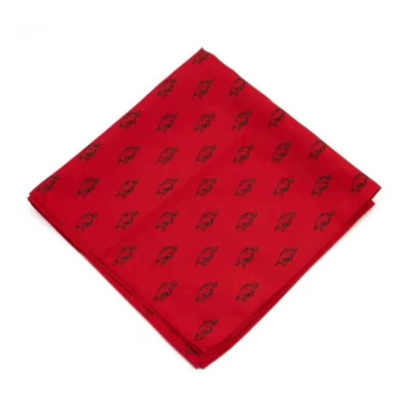 ARKANSAS KERCHIEF PS