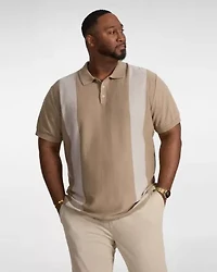 Big & Tall Jeremy Stripe Knit Polo