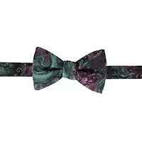 The Arcane Storm Silk Novelty Bow Tie
