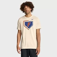 NCAA Nike Florida Gators Primetime Baseball Icon Legend Dri-FIT T-Shirt