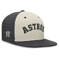 MLB Nike Houston Astros Dri-FIT True Fitted Hat