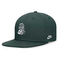 NCAA Nike Michigan State Spartans Legacy True Fitted Hat