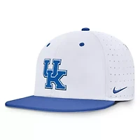 NCAA Nike Kentucky Wildcats On-Field Dugout True Performance Fitted Hat
