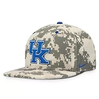 NCAA Nike Digital Kentucky Wildcats 2025 Dugout True Performance Fitted Hat