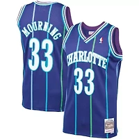 NBA Alonzo Mourning Charlotte Hornets 1994/95 Hardwood Classics Swingman Jersey